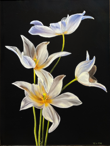 White Tulips 24x18 $1500 at Hunter Wolff Gallery